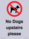 no-dogs-upstairs-please-~